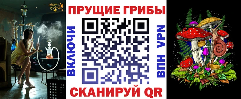 купить наркотик Сызрань Галлюциногенные грибы Psilocybine cubensis