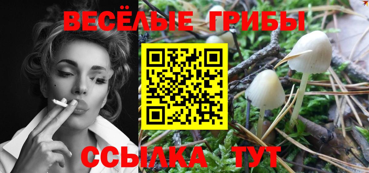 Псилоцибиновые грибы MAGIC MUSHROOMS  где найти   Вход с VPN  Сызрань  Галлюциногенные грибы MAGIC MUSHROOMS 
